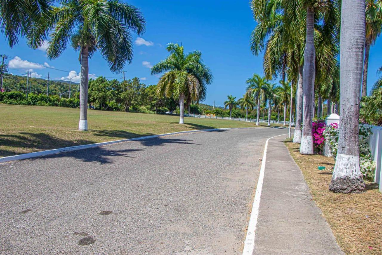 Malibu Ocean View Studio Apartment Montego Bay Luaran gambar