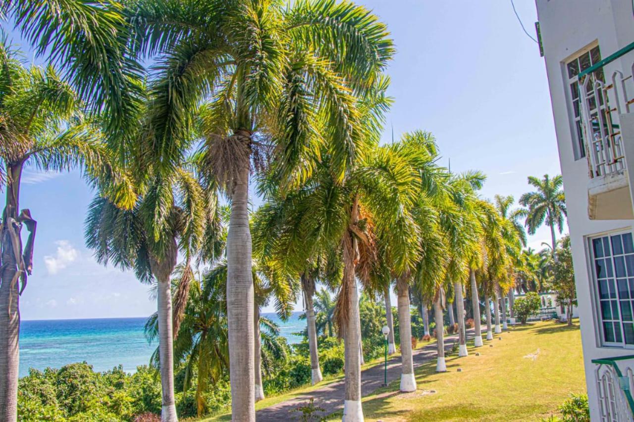 Malibu Ocean View Studio Apartment Montego Bay Luaran gambar
