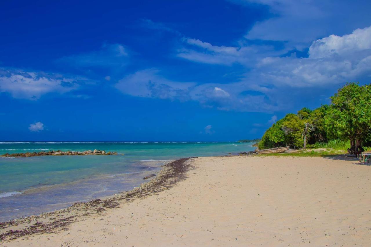 Malibu Ocean View Studio Apartment Montego Bay Luaran gambar