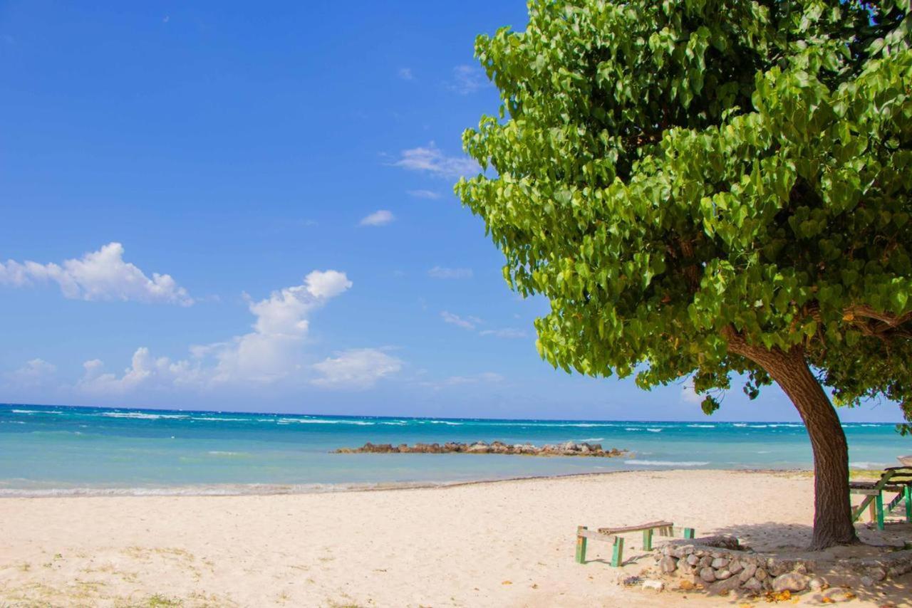 Malibu Ocean View Studio Apartment Montego Bay Luaran gambar